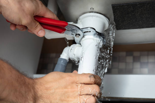 Best Flood damage cleanup  in Lake St Louis, MO