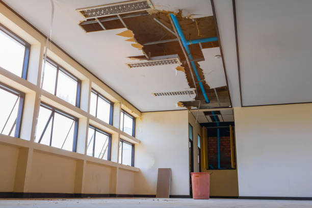 Best Professional water damage repair  in Lake St Louis, MO