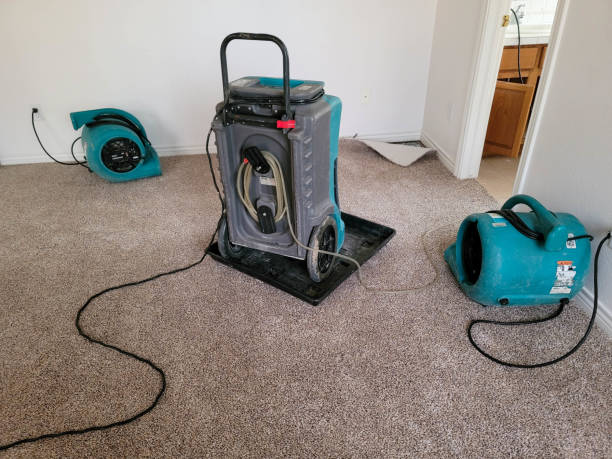 Best Fire Damage Restoration  in Lake St Louis, MO