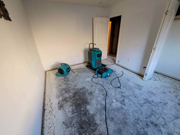 Best Water damage restoration near me  in Lake St Louis, MO