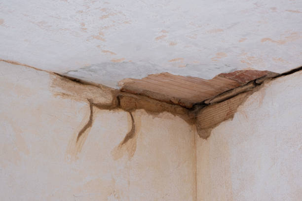  Lake St Louis, MO Water damage restoration Pros
