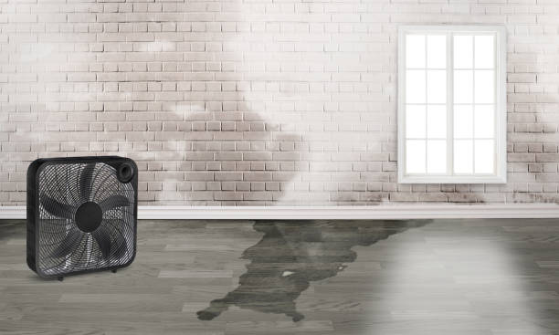 Water damage restoration mold remediation in Lake St Louis, MO