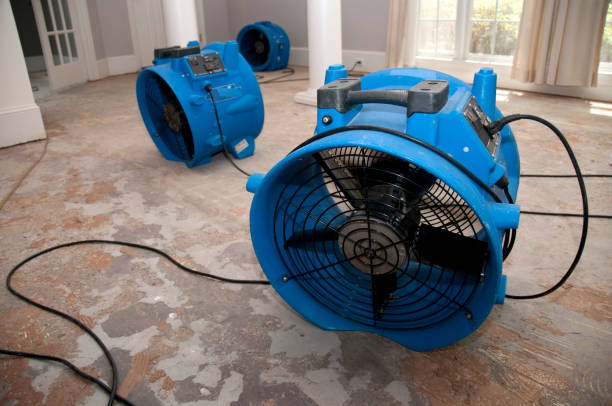 Best Carpet water damage restoration  in Lake St Louis, MO