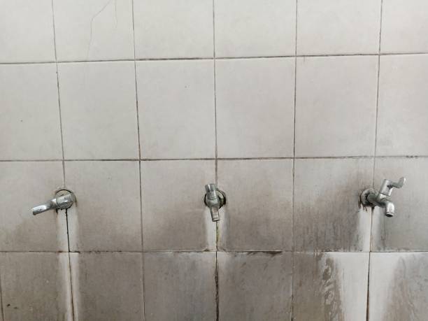 Best Ceiling water damage repair  in Lake St Louis, MO