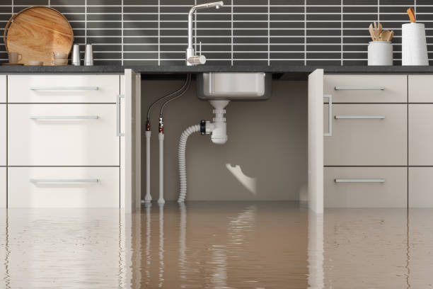 Best Mold removal after water damage  in Lake St Louis, MO