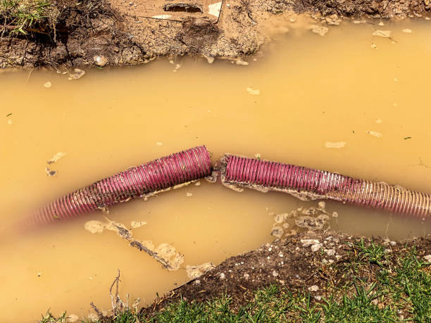 Best Flood restoration services  in Lake St Louis, MO