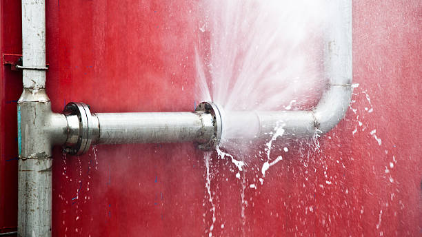 Best Water damage cleanup near me  in Lake St Louis, MO